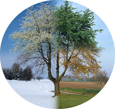 evolutionplan---B2B Vertrieb und Verkauf-Auf einen Blick-evolutionplan®---about-pic