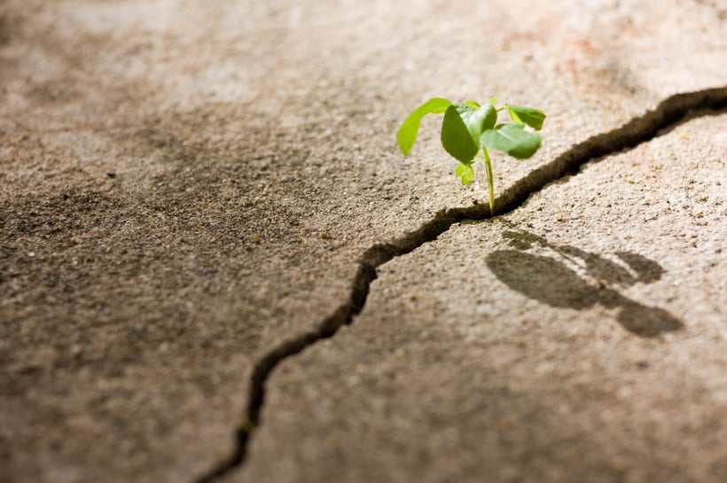 Vertriebstraining, Verkaufstraining, Forecastmanagement