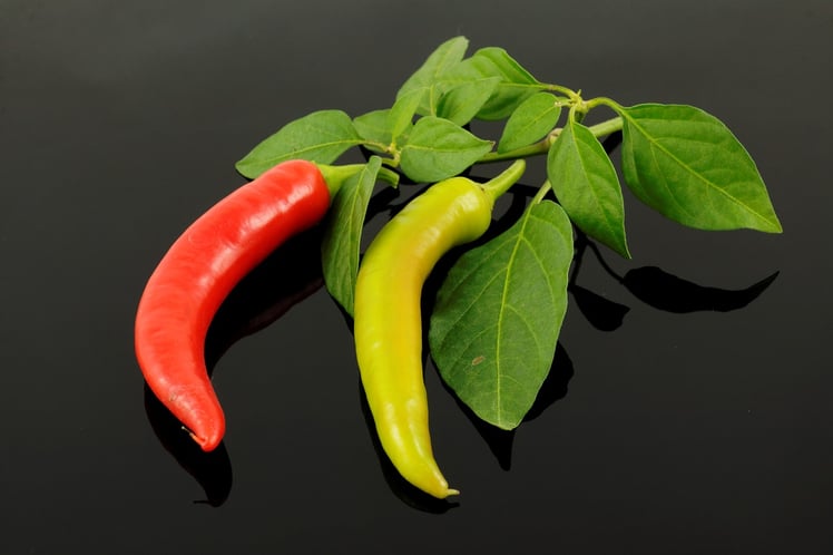 paprika-861654_1280.jpg