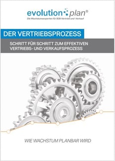 Vertriebsprozess, Verkaufsprozess, Vertriebssteuerung