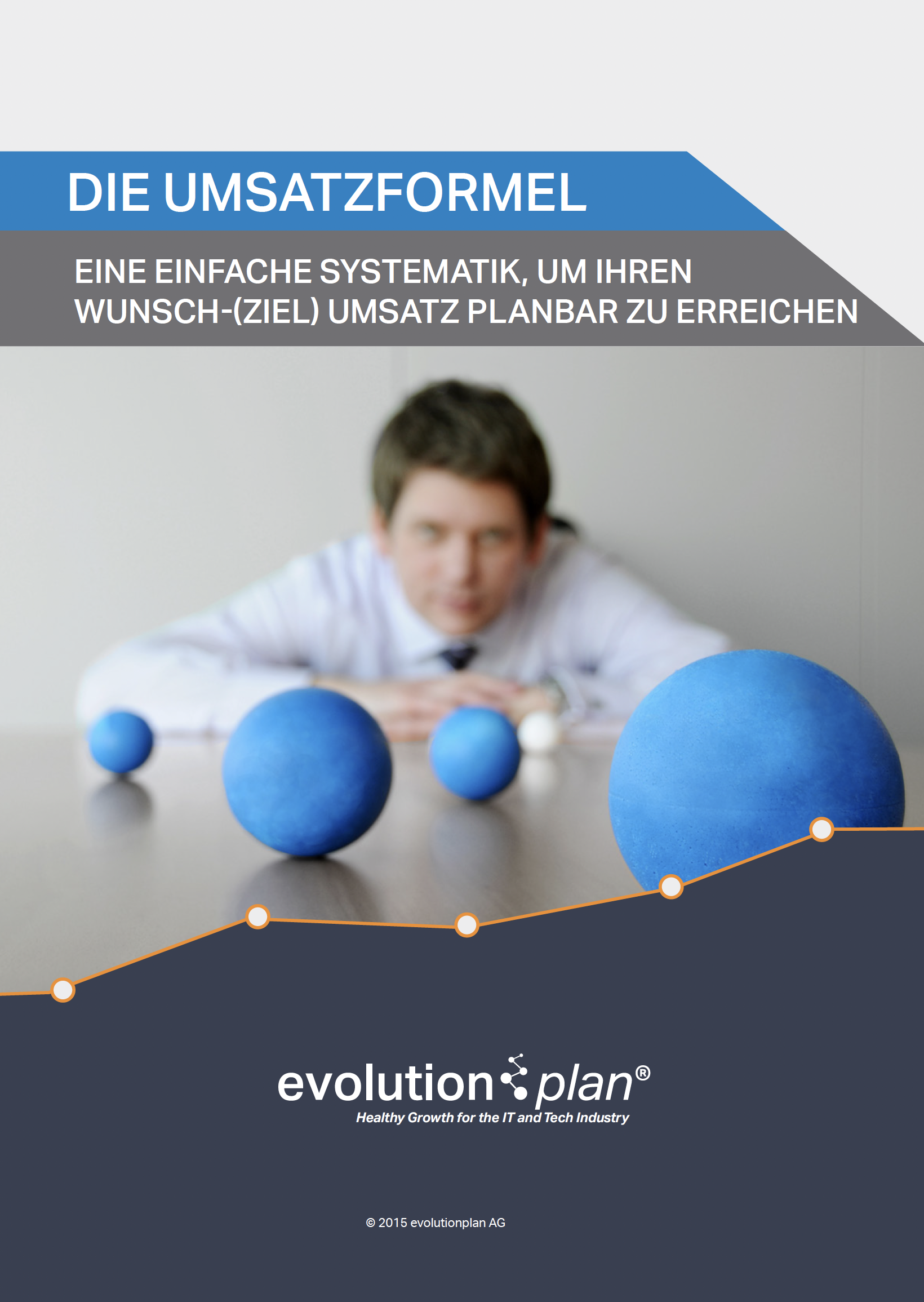Die Umsatzformel_evolutionplan