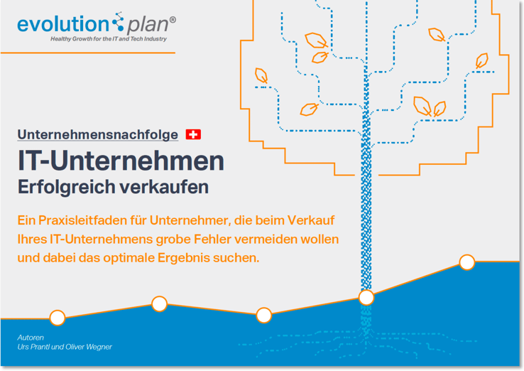 IT-Unternehmen CH Erfolgreich verkaufen